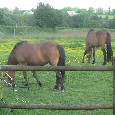 Les Croisettes Bed & Breakfast Le Pin  ภายนอก รูปภาพ